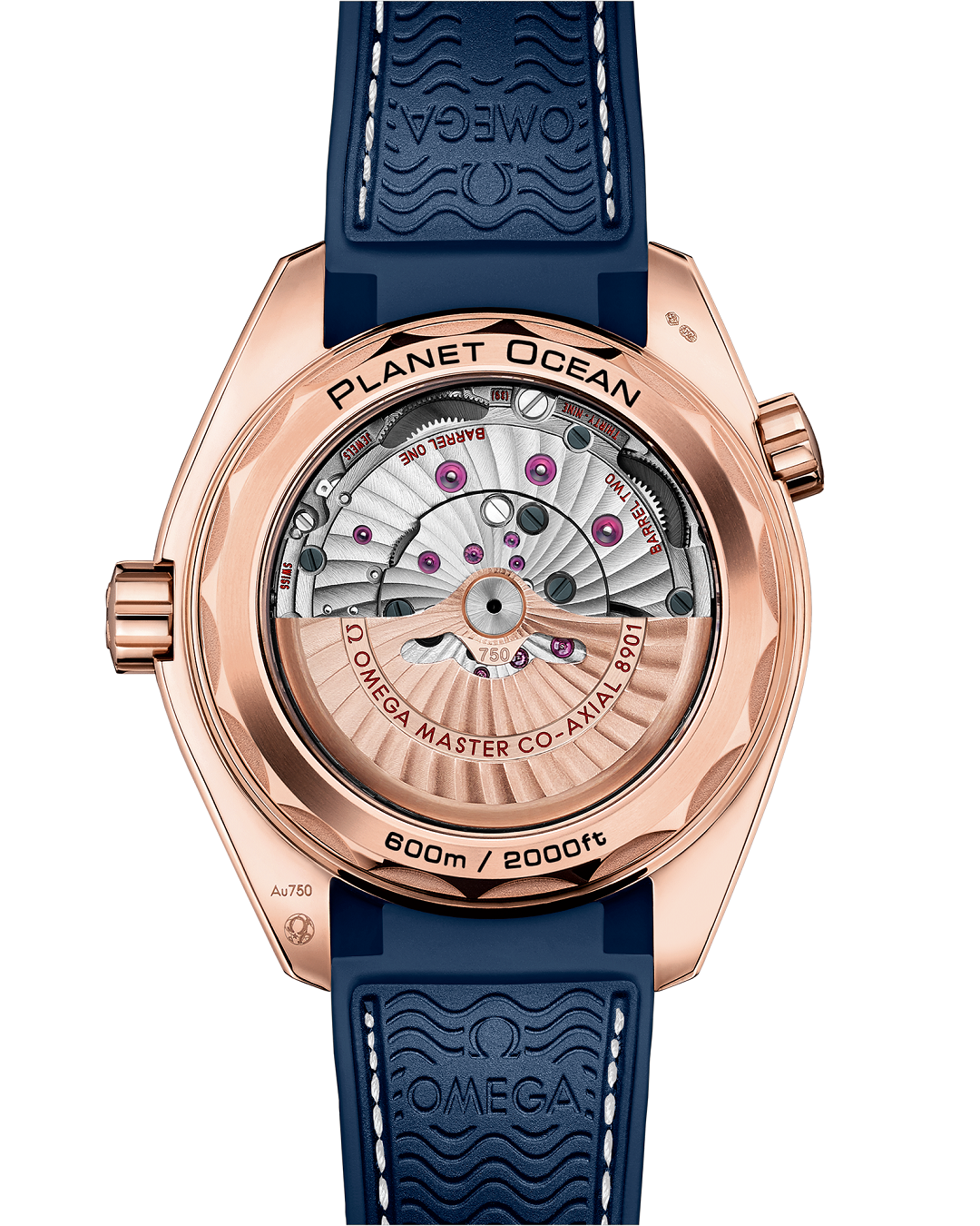 215.63.44.21.03.001- Blue Ceramic bezel - Rosegold Steel - 904L Steel - Automatic -43.5mm